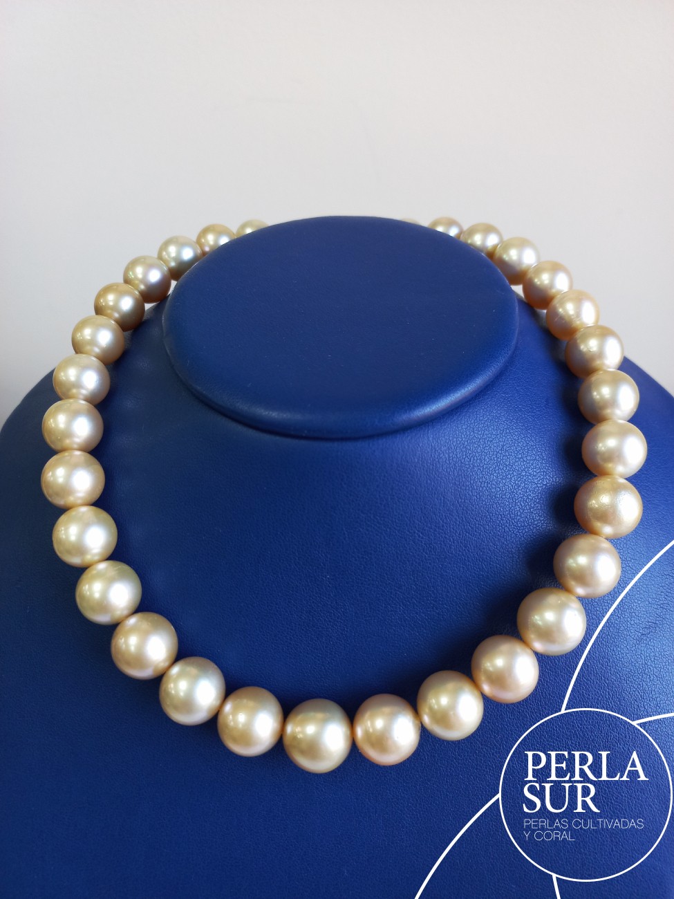 Collar Golden 12x14mm Redondo