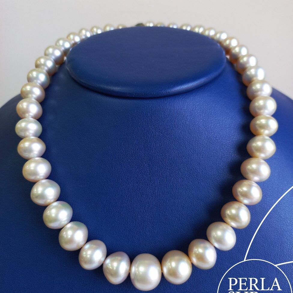 170020 - Collar Golden 8'4x14'2mm Botón Perla