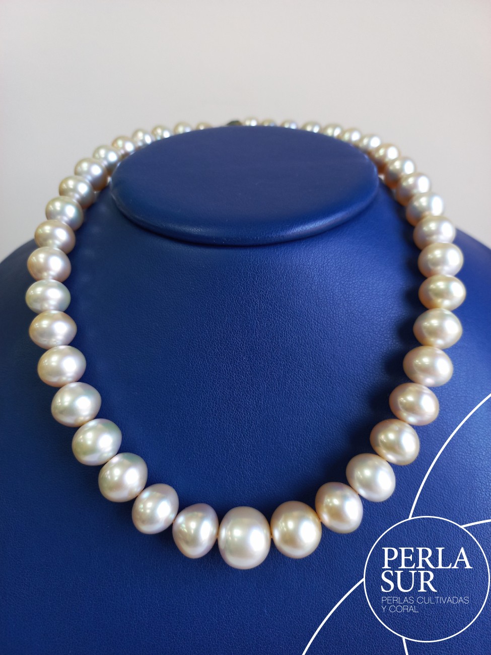 Collar Golden 8'4x14'2mm Botón Perla