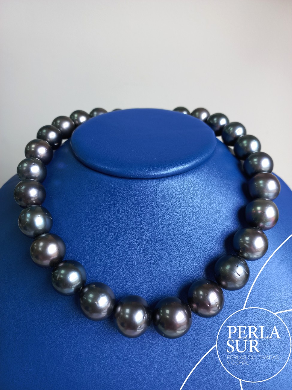 Collar Tahití 15x17'50mm Extra Grande