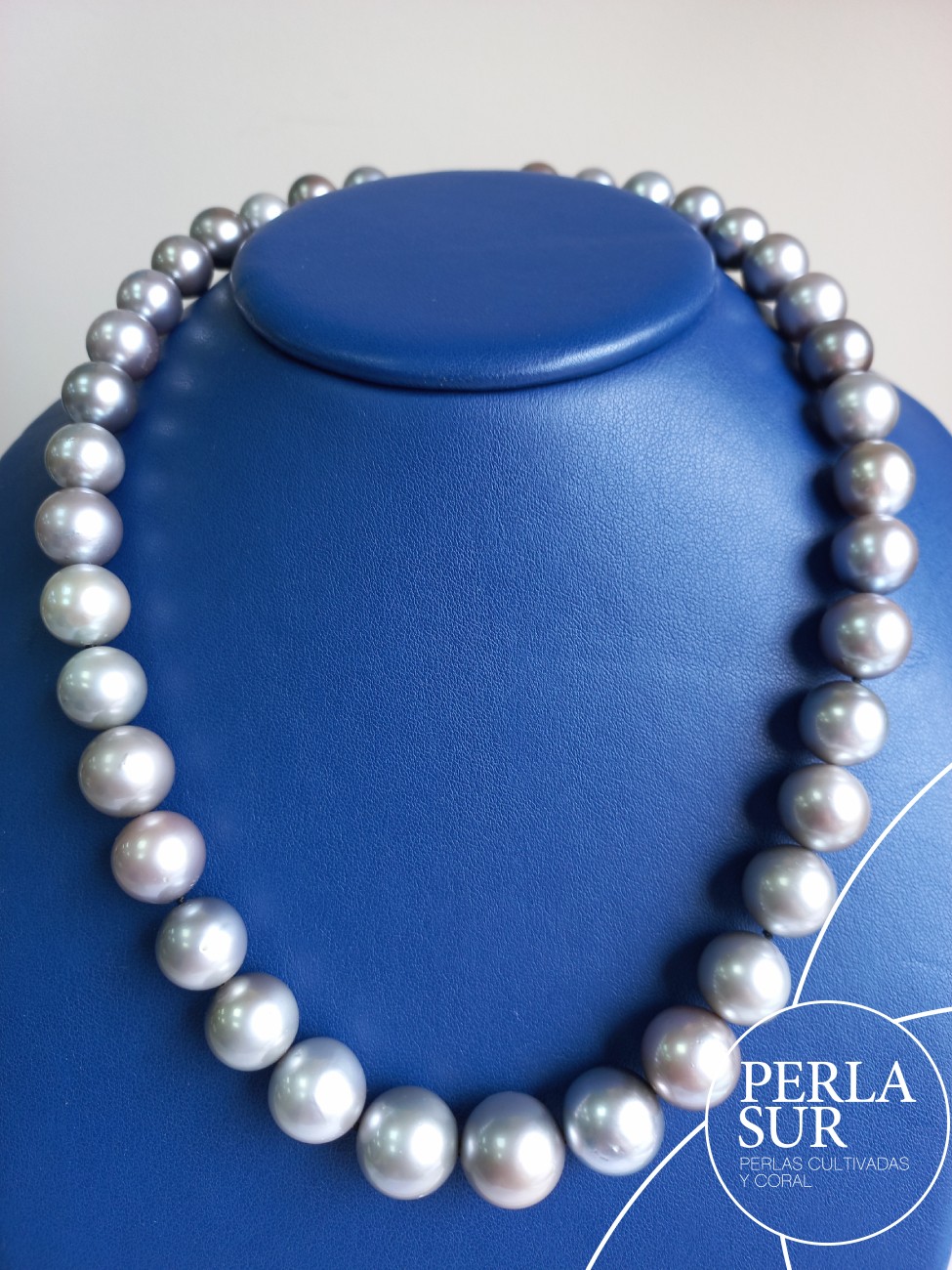 Collar Tahití 11x15mm Redonda Gris Claro