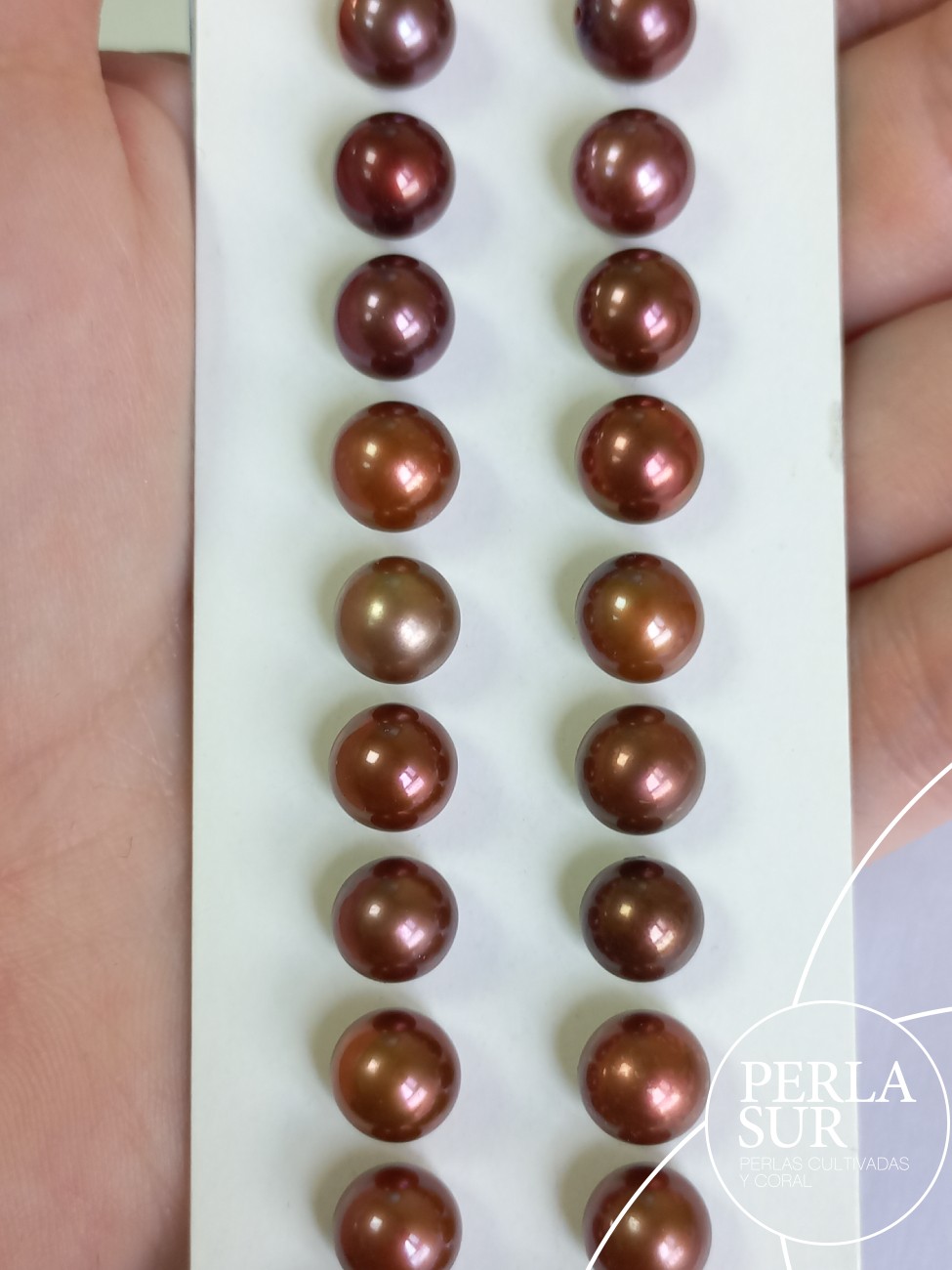 Pareja perla 1/2t 8-8'5mm Chocolate