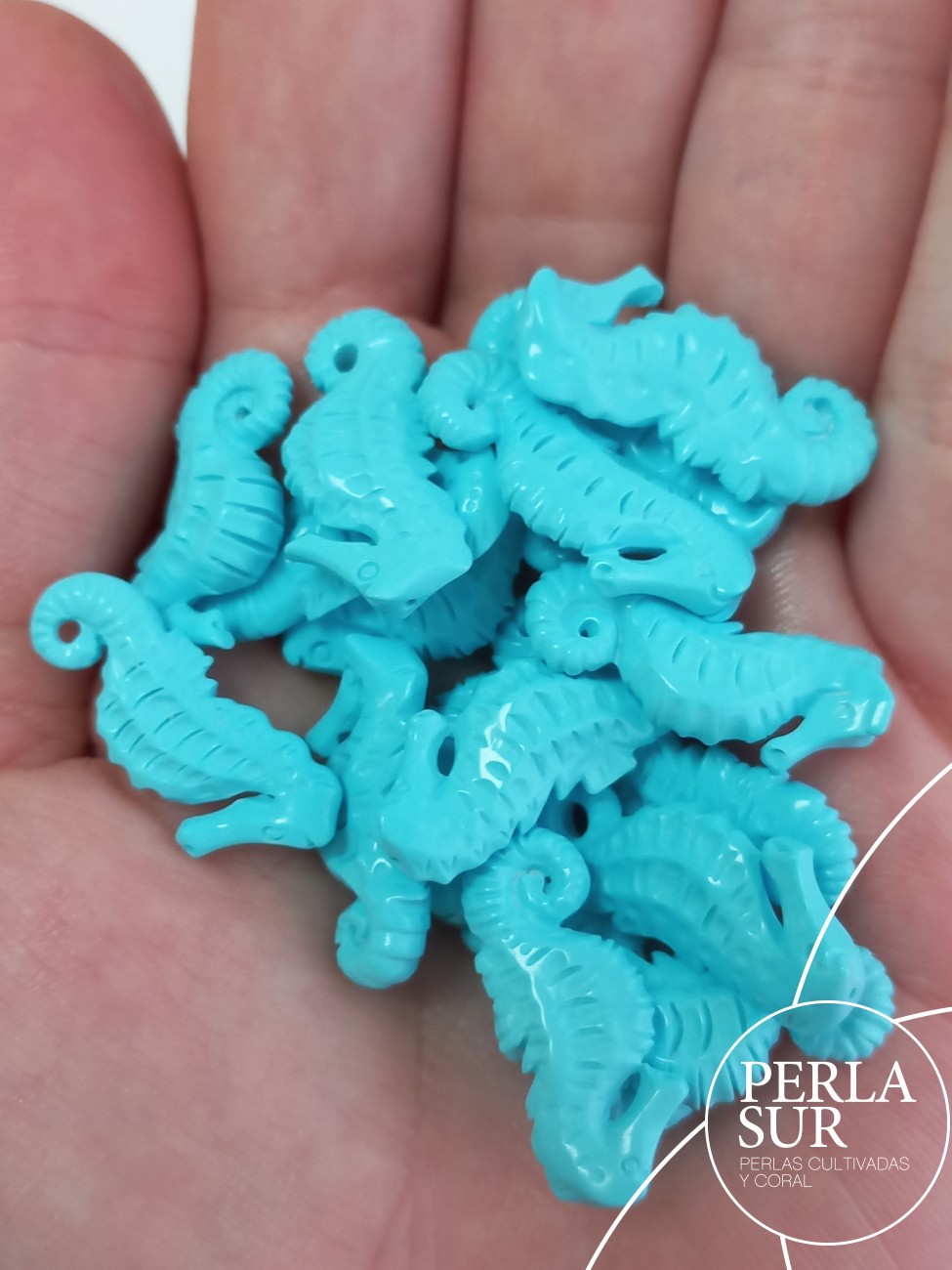 Caballito mar 24x10-25x11mm turquesa reconstituída