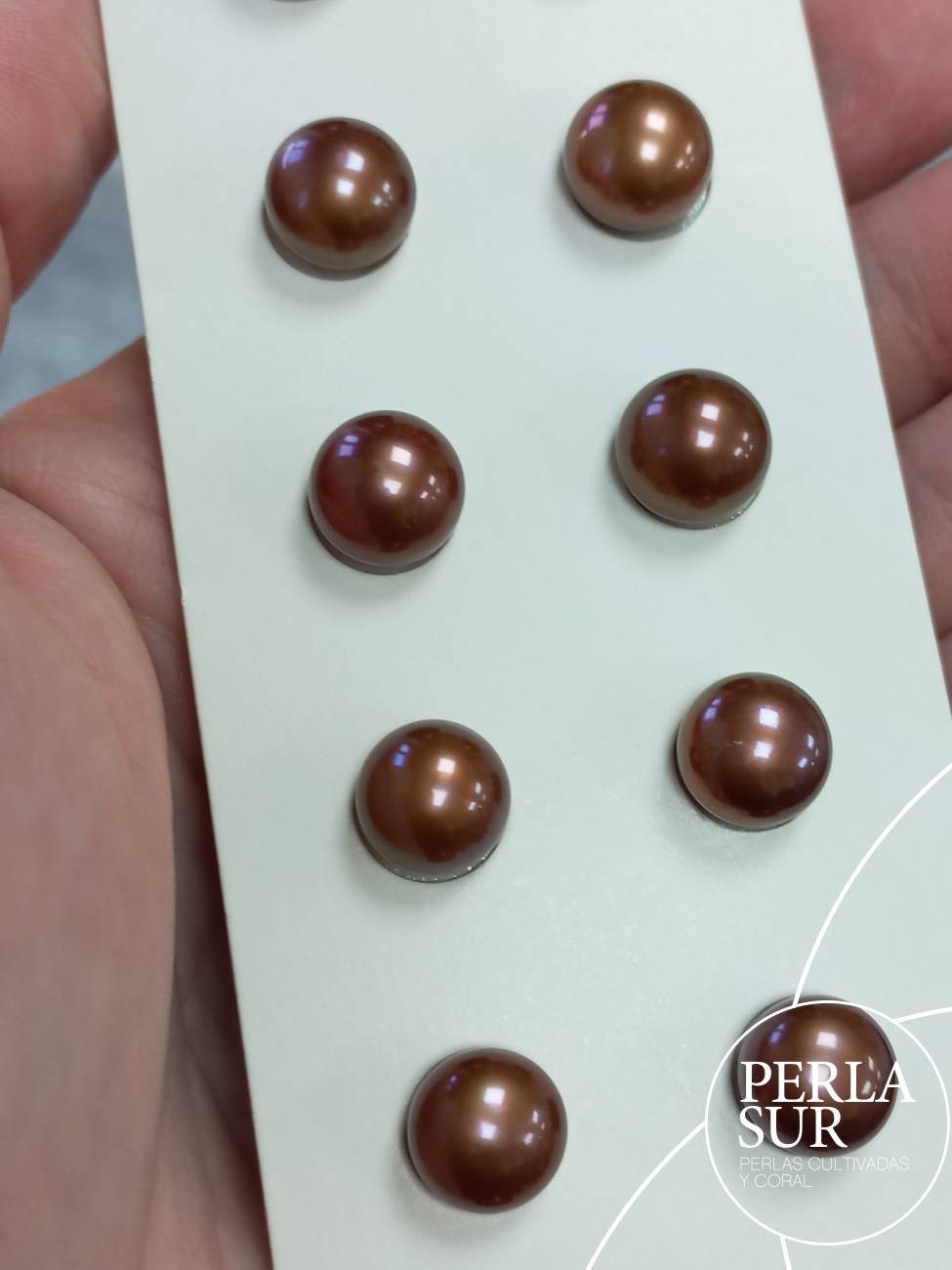 Pareja perla 10mm Botón 1/2t Chocolate