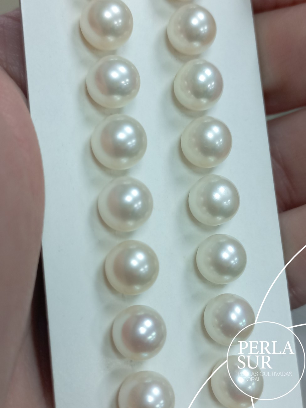 Pareja perla esférica 1/2t 8-8'5mm A+ blanca