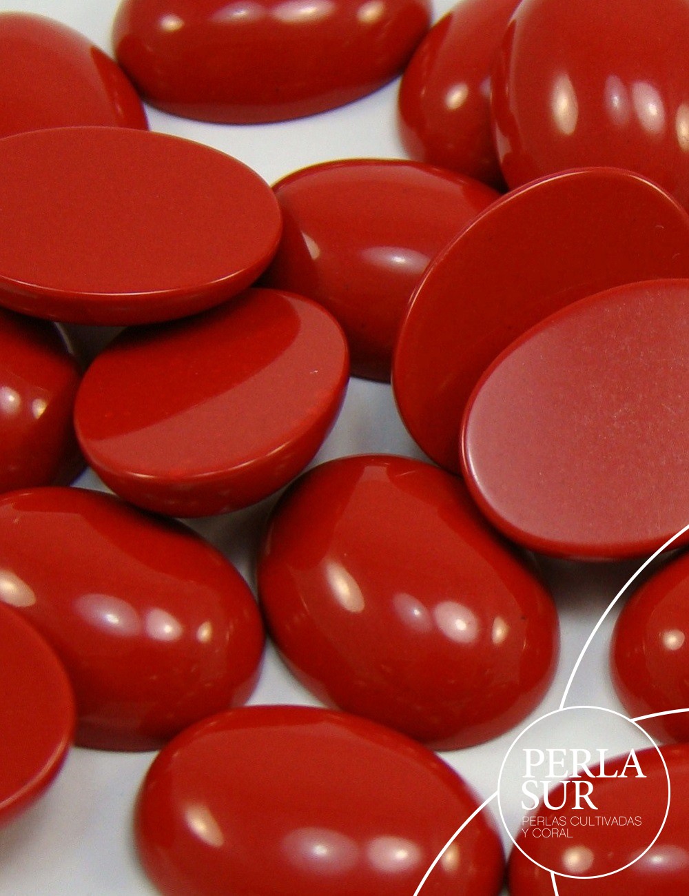 Cabuchón oval 12x16mm coral reconstituído