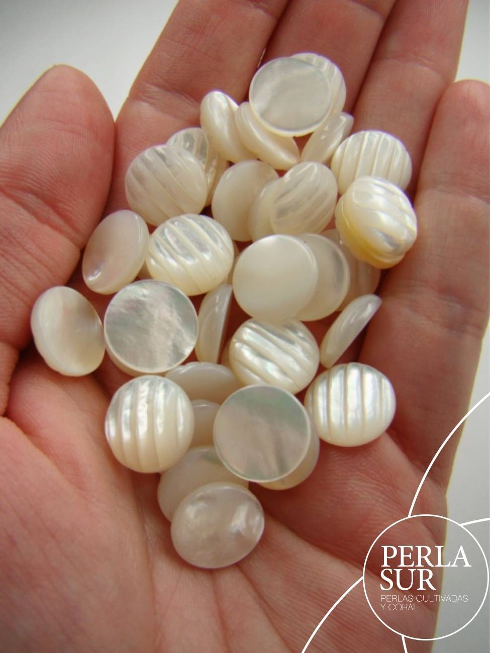 Cabujón 12mm Redondo Galloneado Vertical