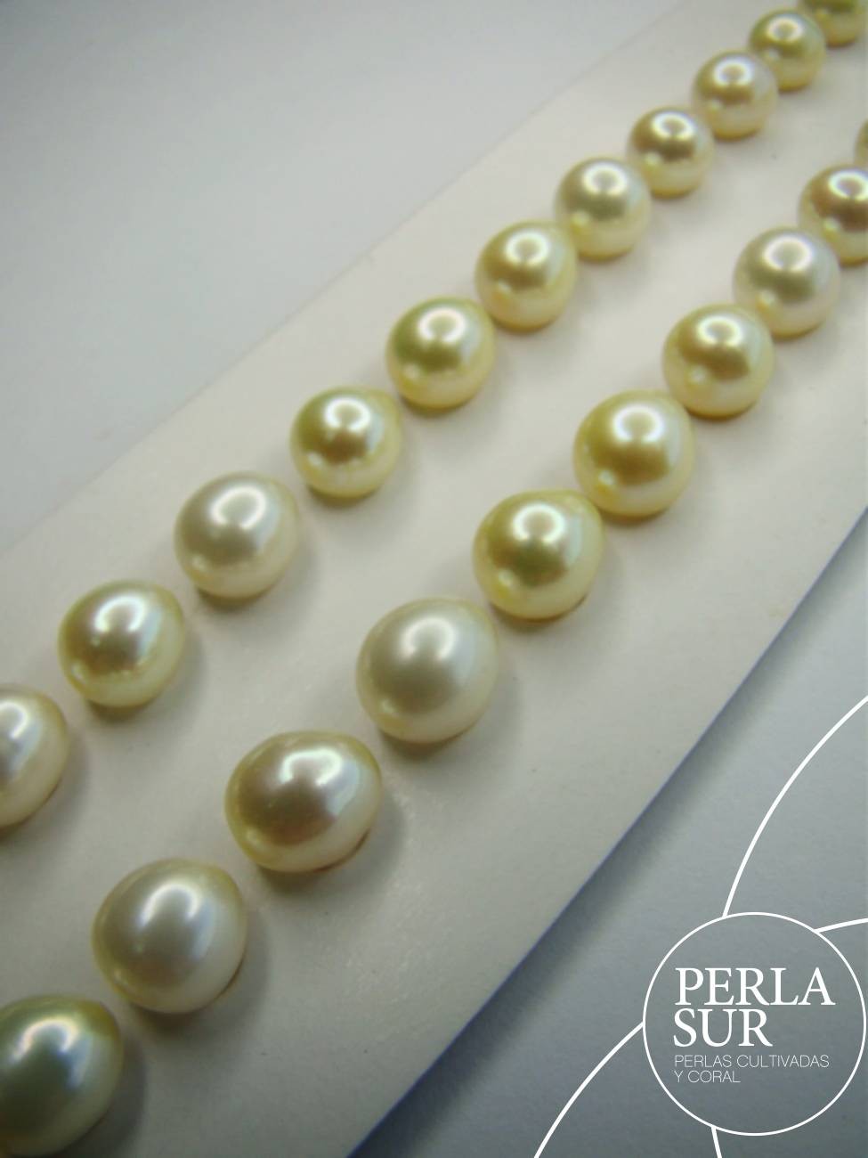 Pareja Perla 7-7'5mm Golden 1/2T.Oval