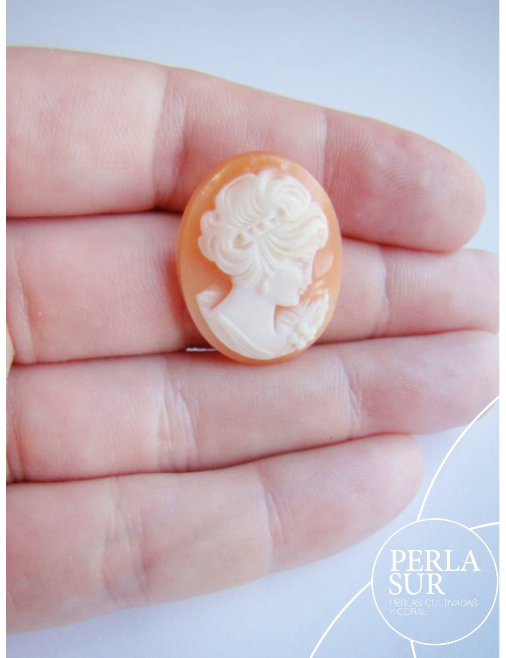 Camafeo Concha 19x25mm