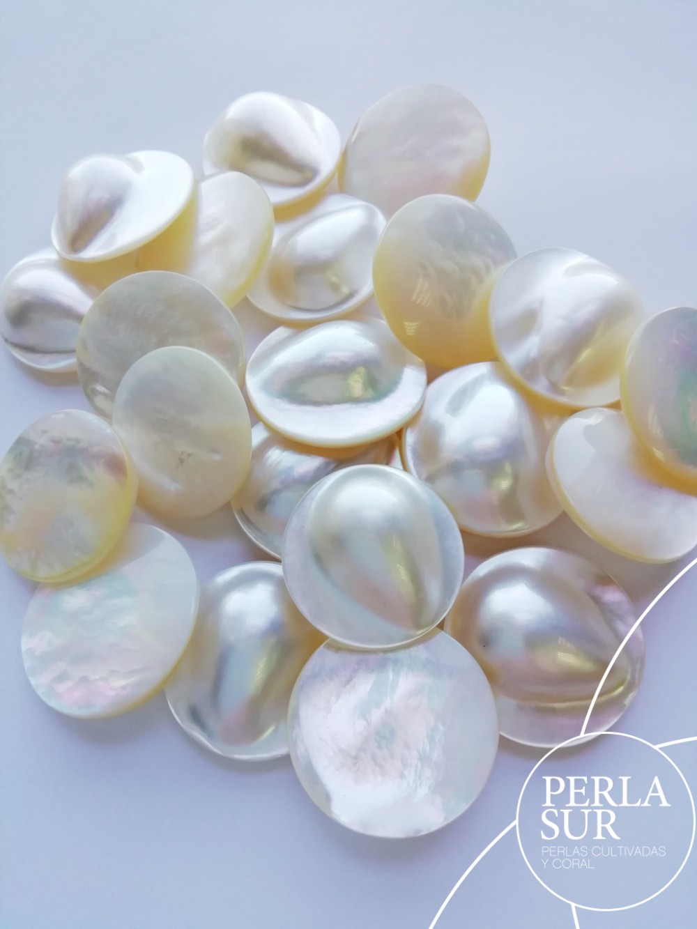 Blister Nácar Lágrima 20-25mm Concha Australiana