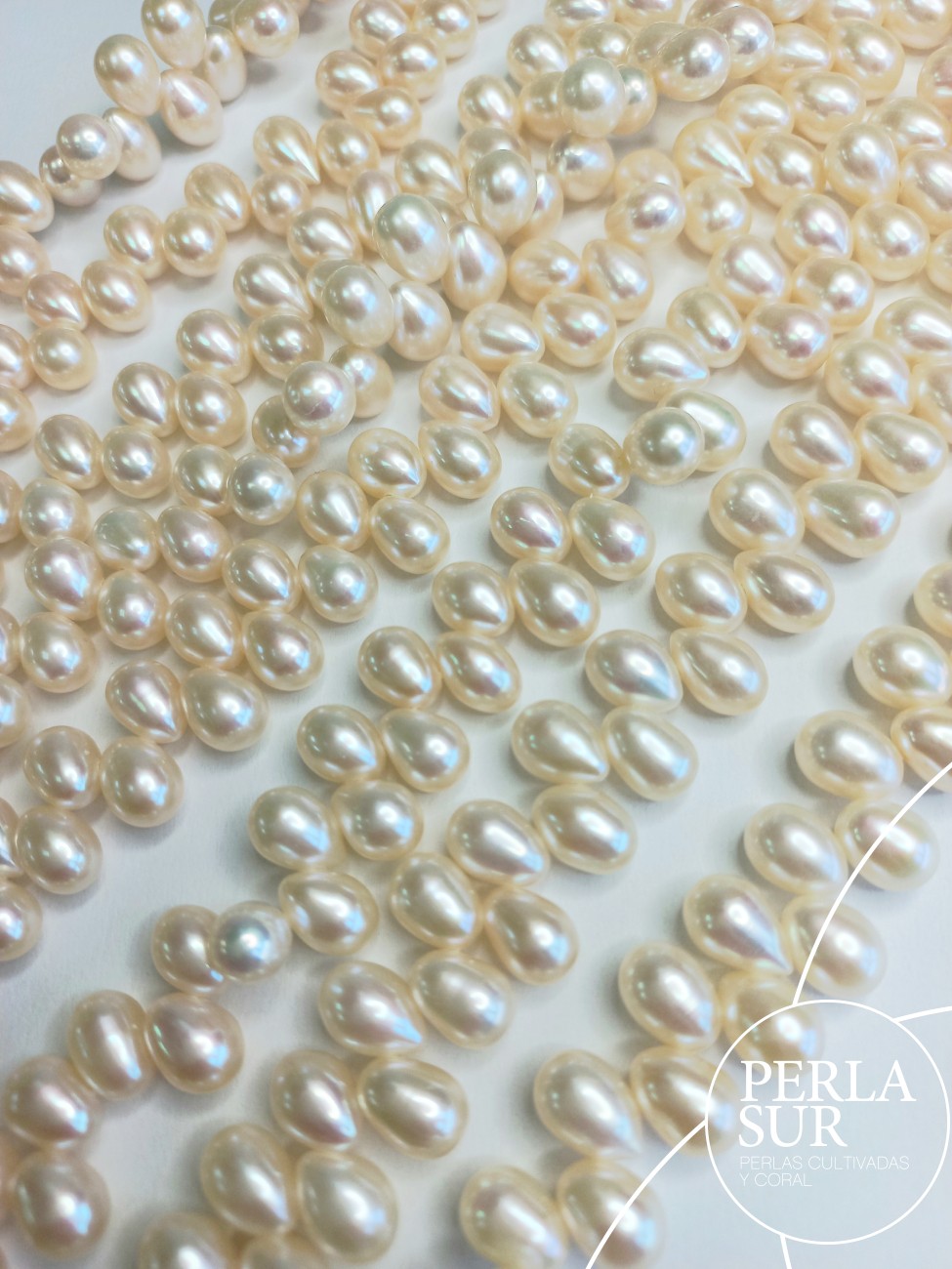 Hilo Perla Oval Cruzada 6-7mm Blanca