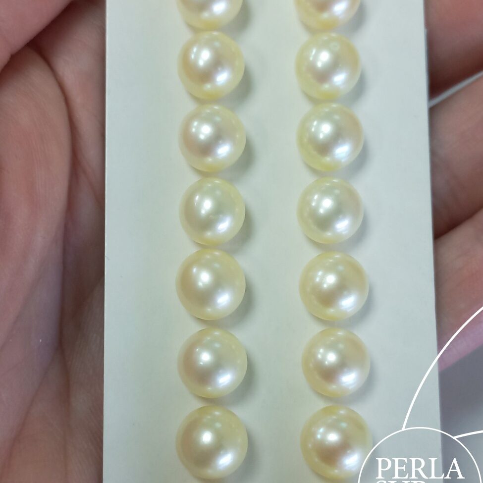 Pareja perla 1/2t 8'5-9mm Golden