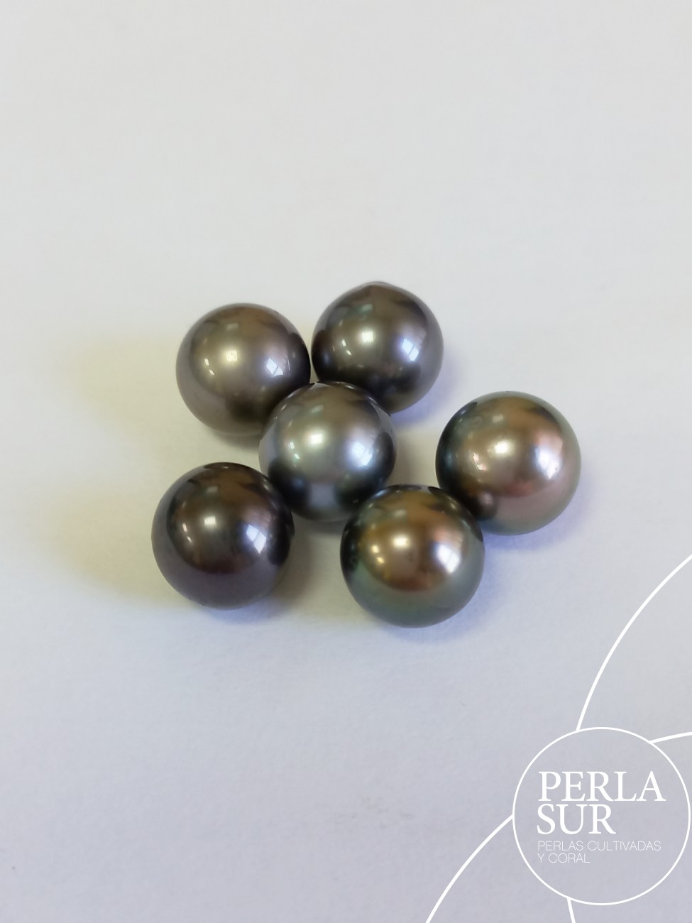 Perla 9'5-10mm Redonda Tahití