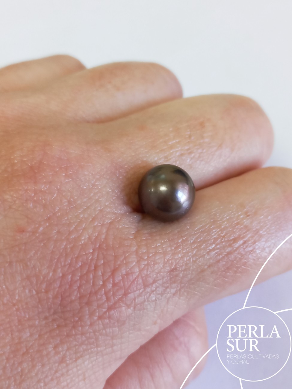 Perla 10'5mm Redonda Tahití
