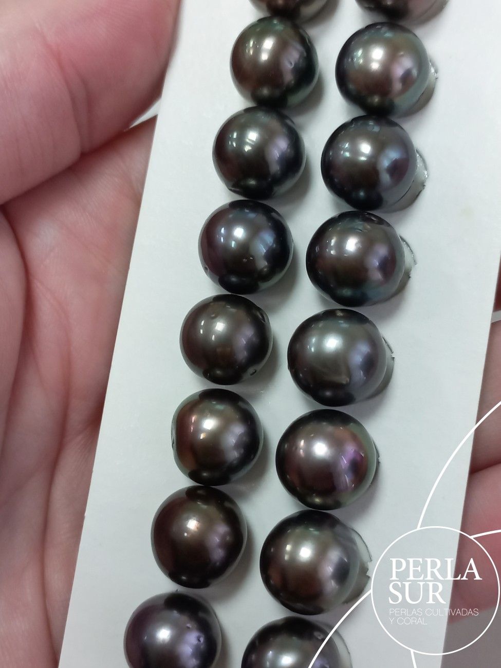 Par Perla Tahití 10'5-11mm semired