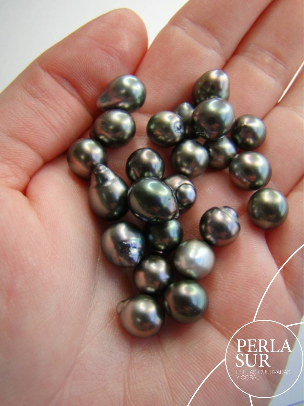 Perilla 8-9mm Tahití