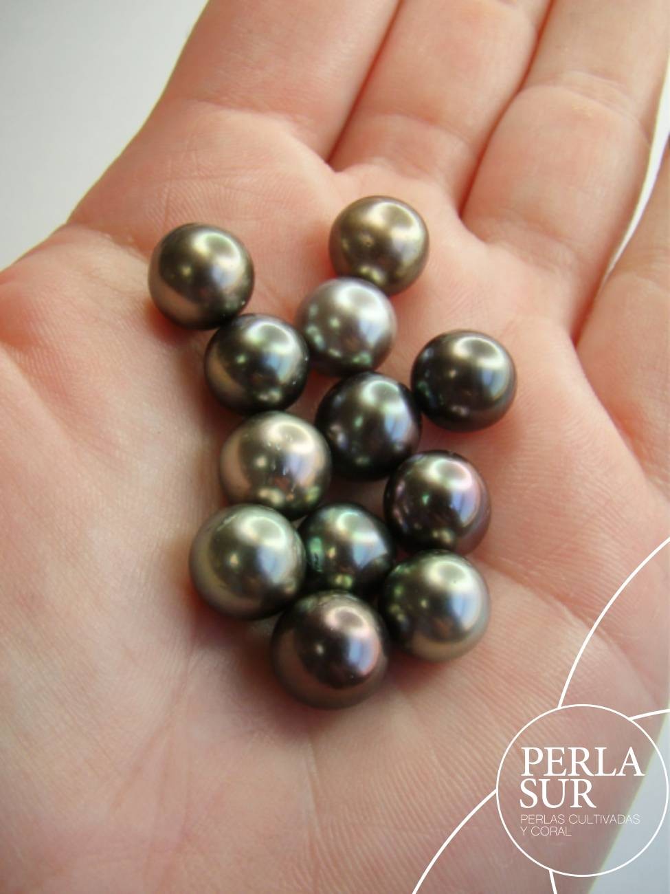 Perla 9'5-10mm Semiredonda Tahití