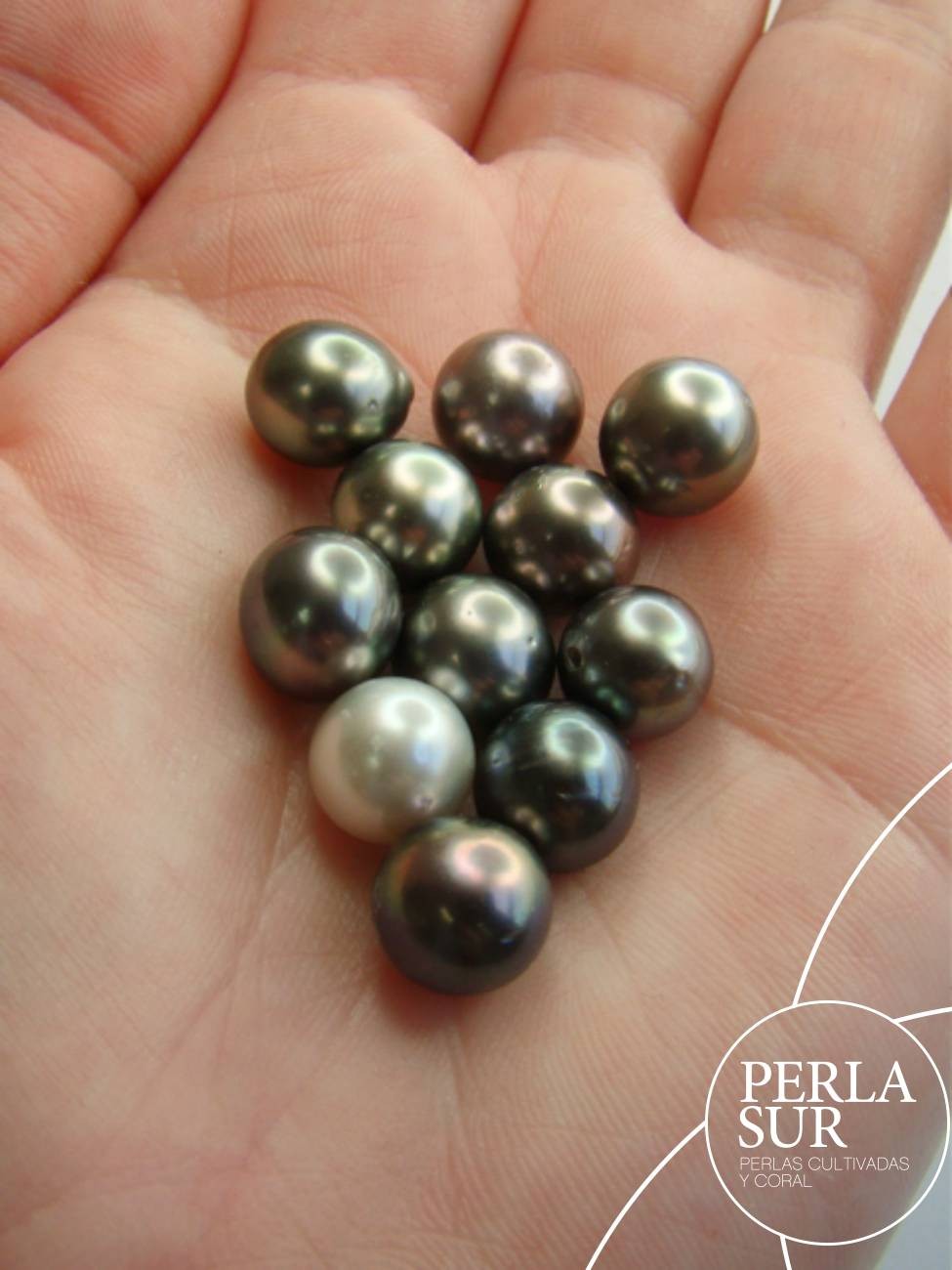 Perla 9-9'5mm Semiredonda Tahití