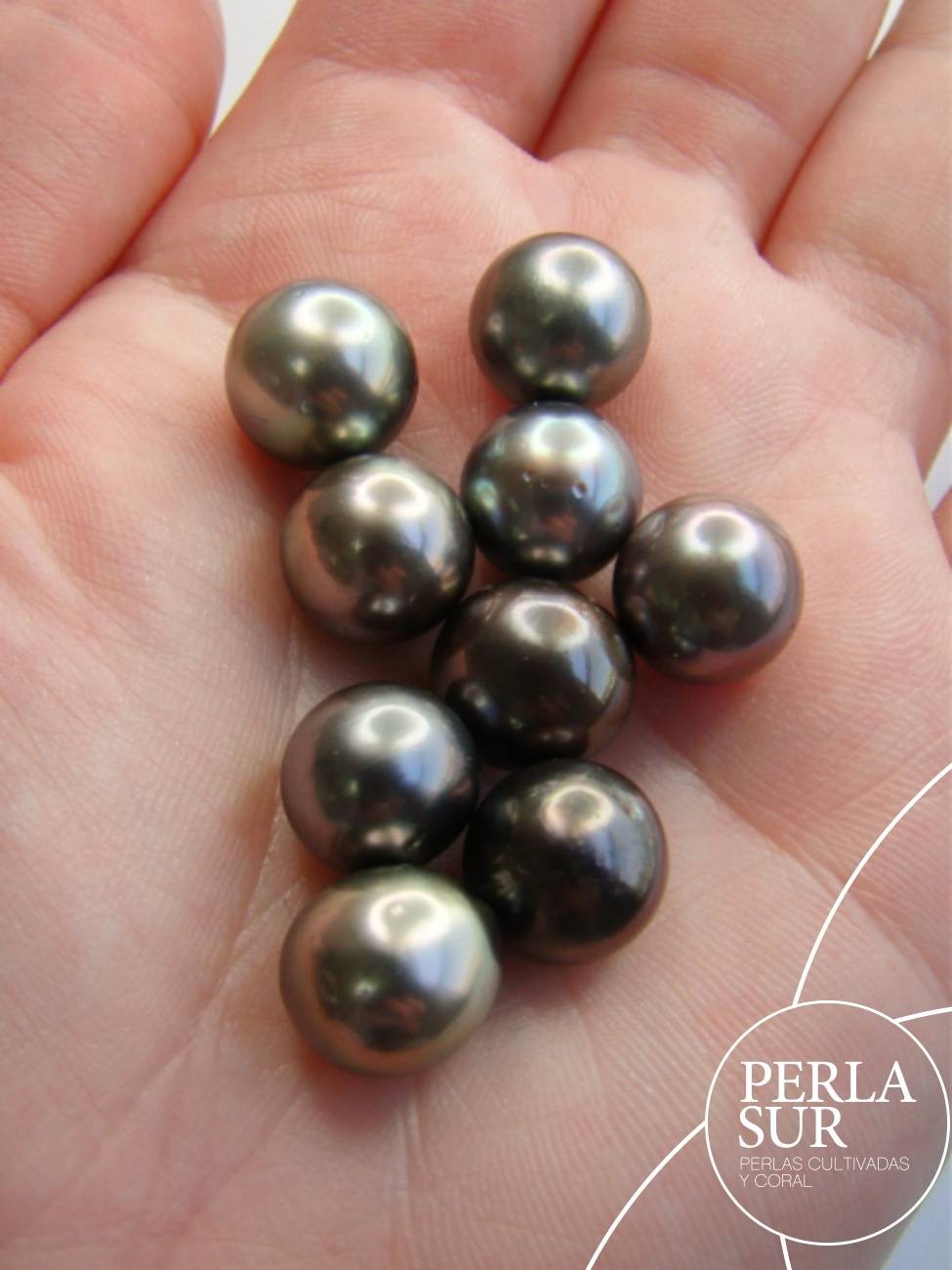 Perla 10'5-11mm Semiredonda Tahití