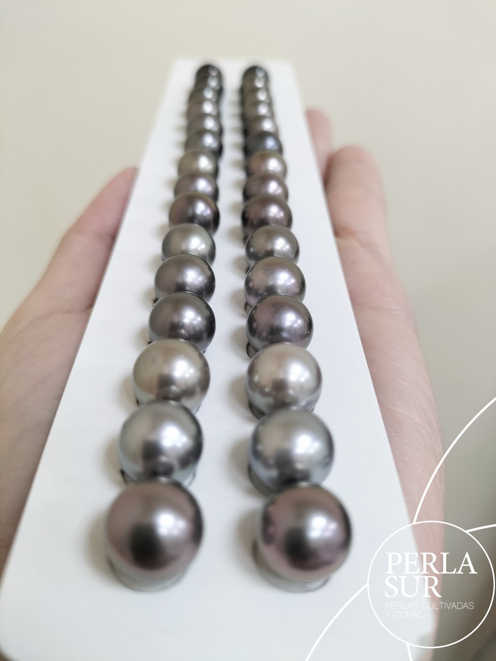 Par Perla Tahití 10-10'5mm REDONDA