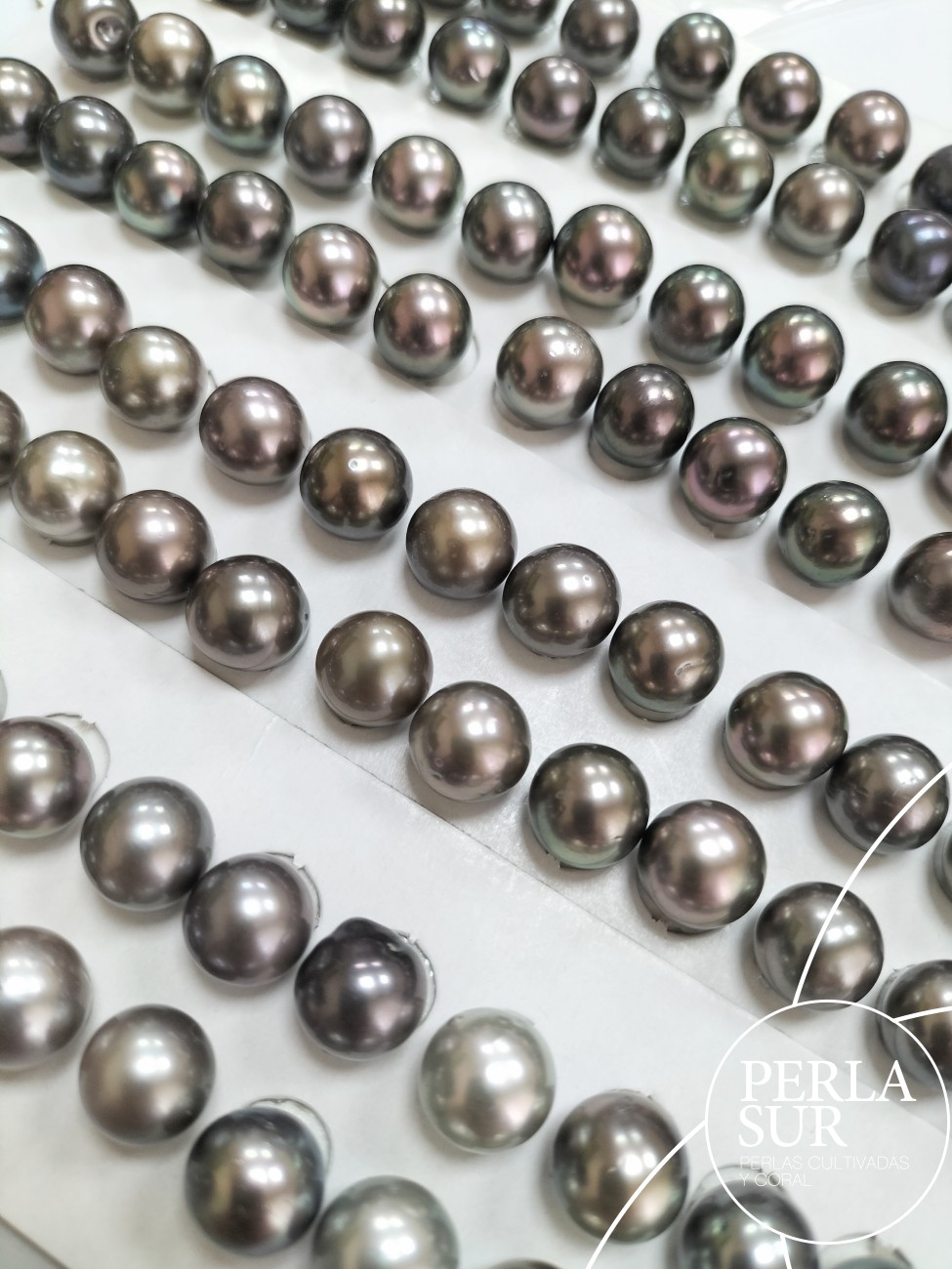 Par Perla Tahití 10-10'5mm Semiredonda