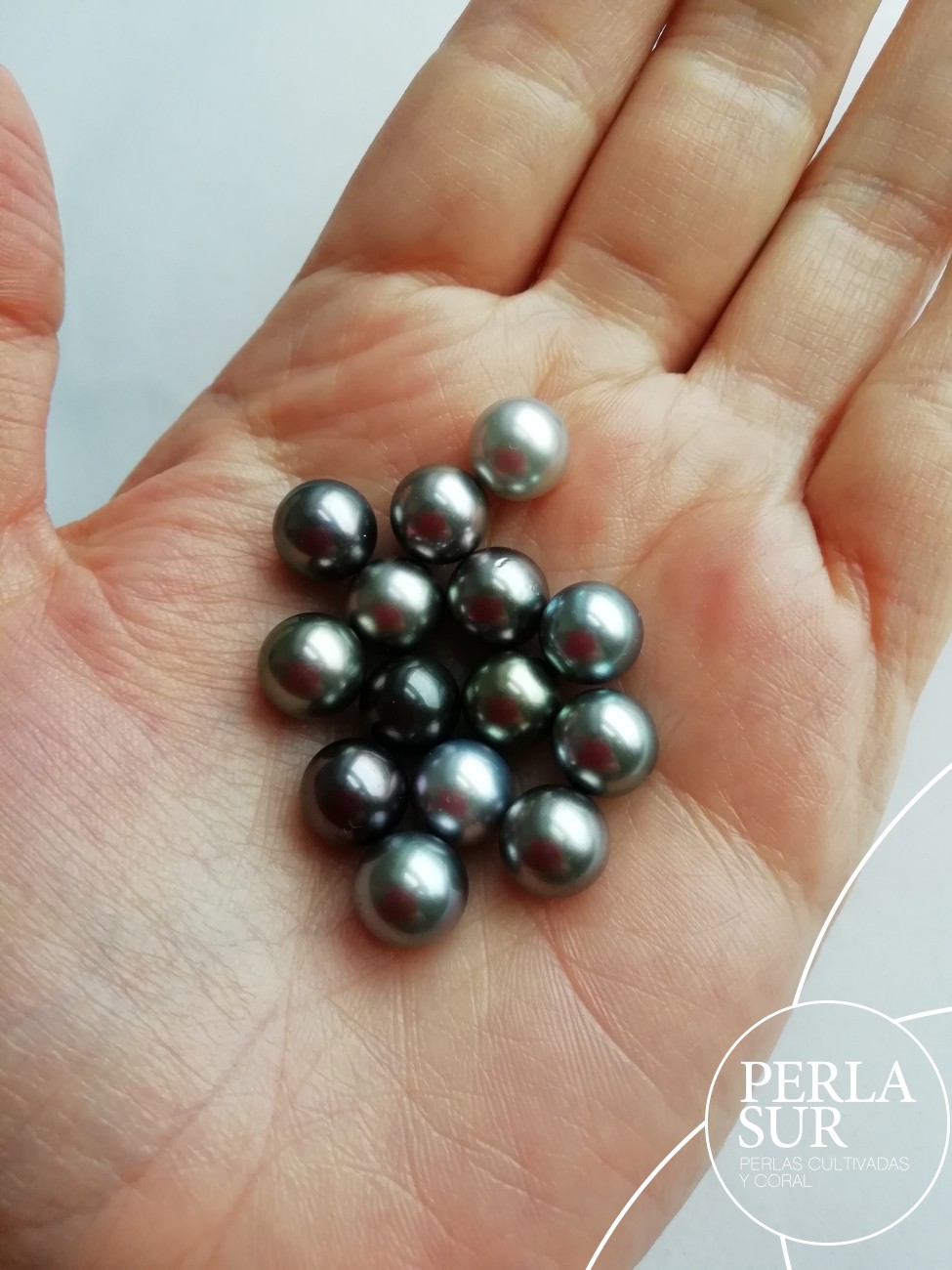 Perla 8'5-9mm Redonda Tahití