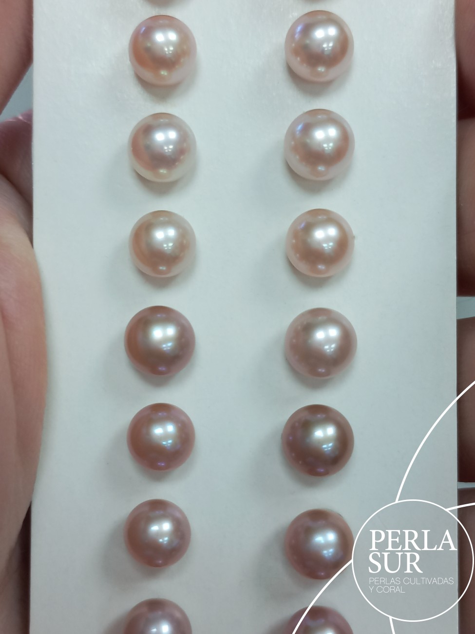 Pareja perla 1/2t 7-7'5mm Lila (CN)