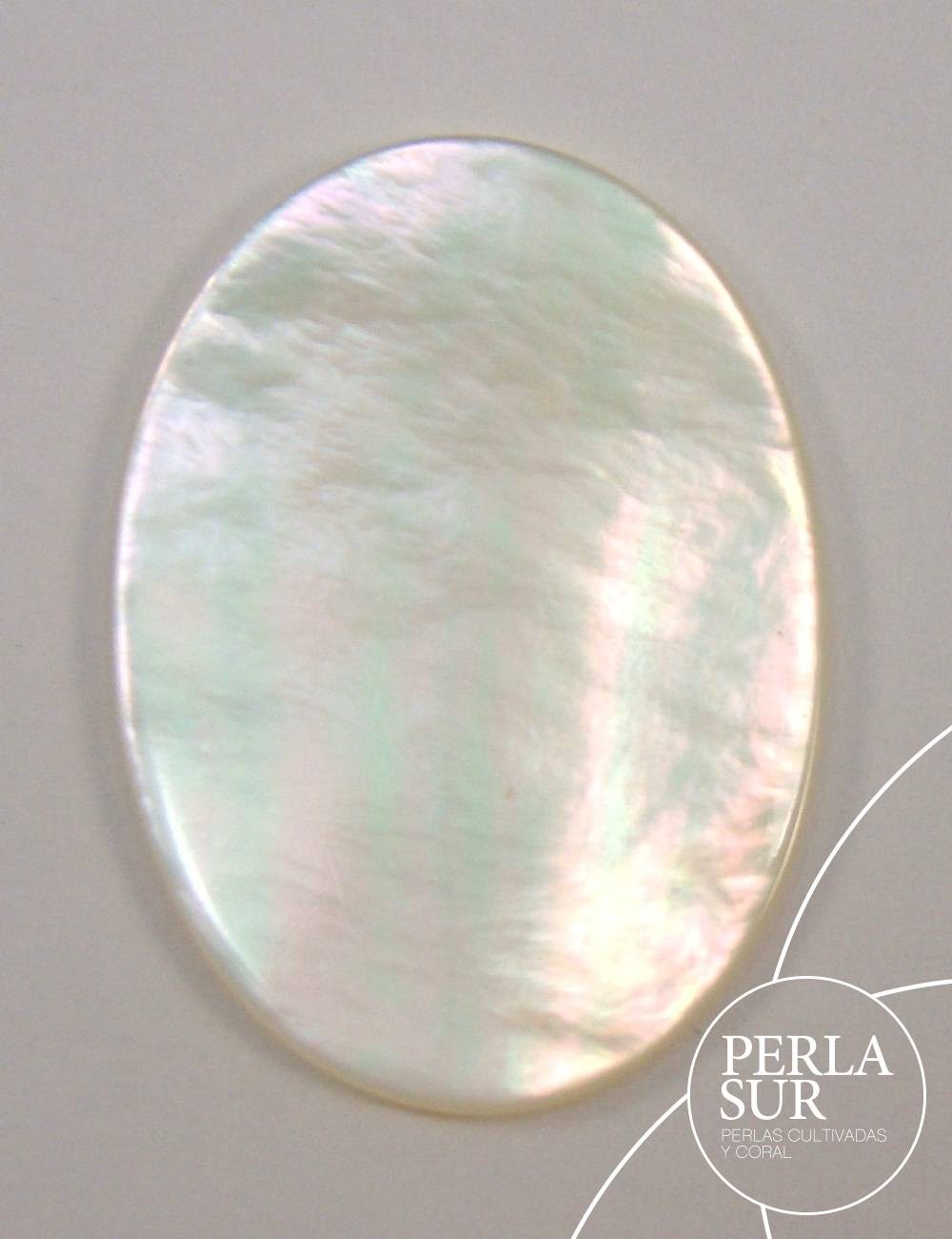 Disco 20x27mm Nácar Oval Liso