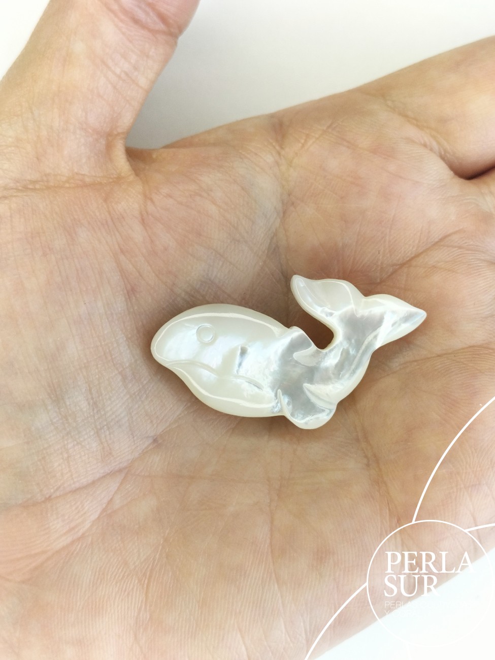 Ballena 22x40mm Nácar Madreperla Australiana