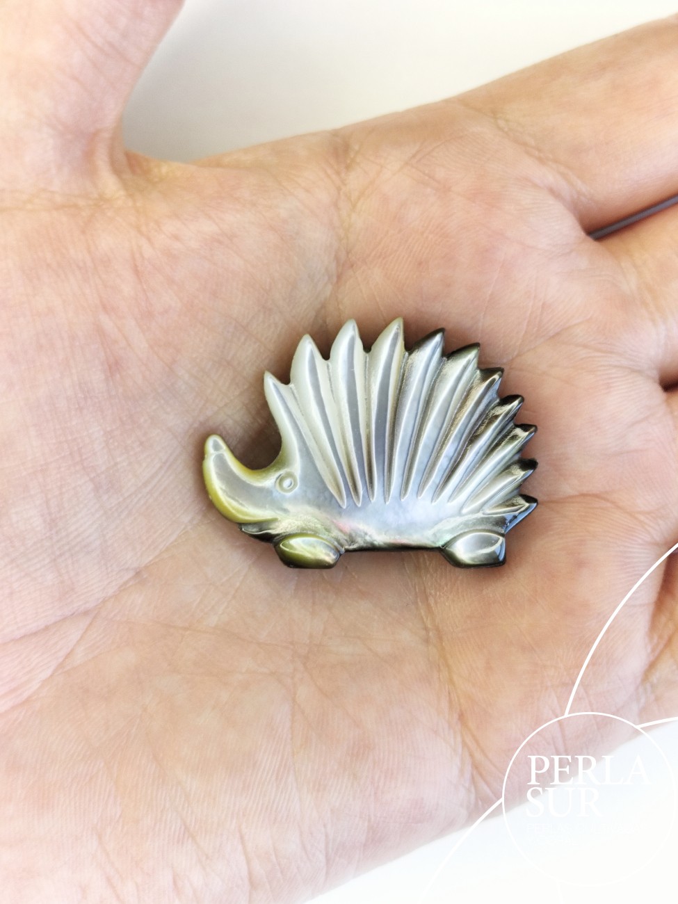 Erizo 26x35mm Nácar Madreperla Tahití