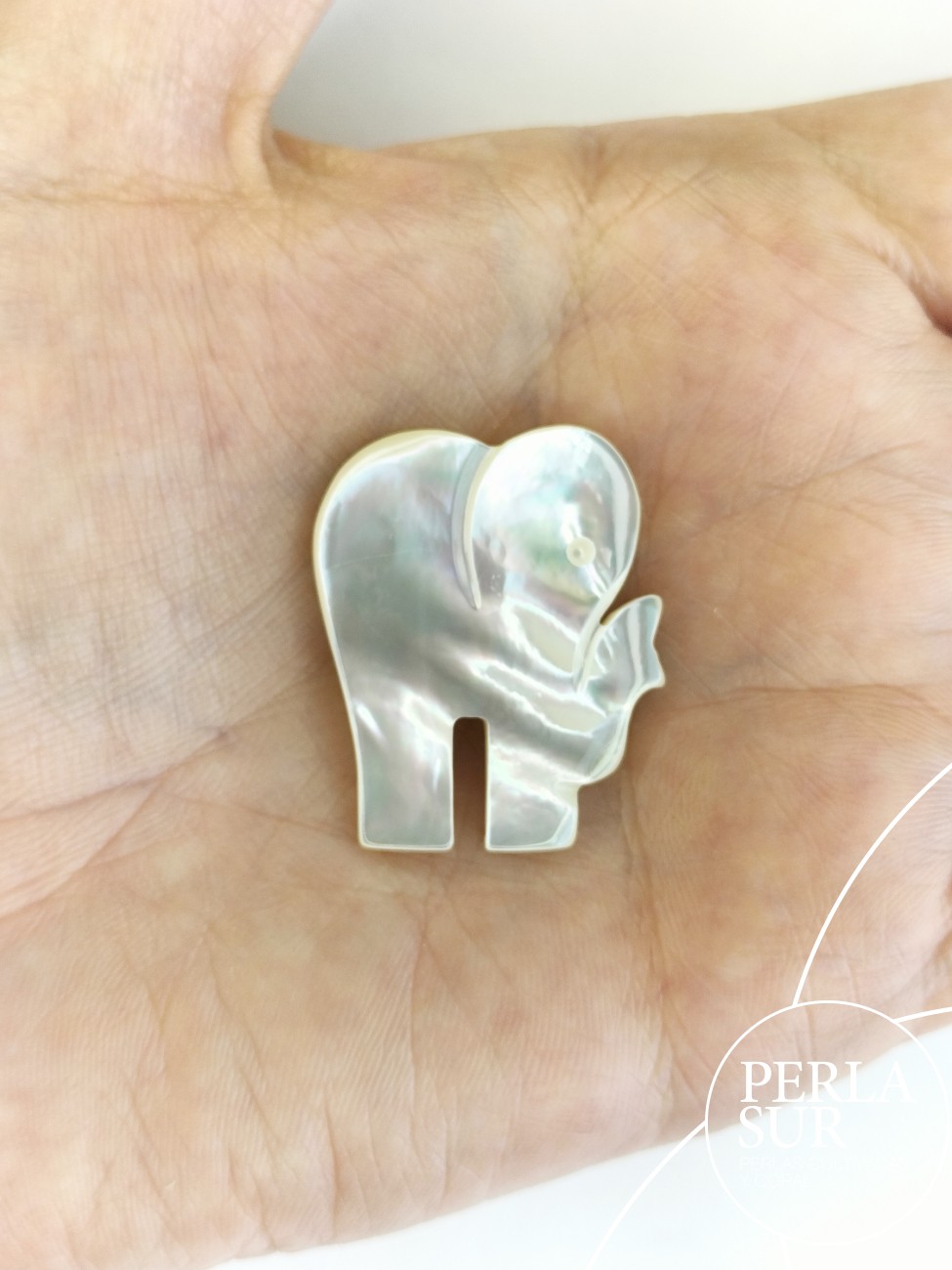 Elefante 21x30mm Nácar Australiana