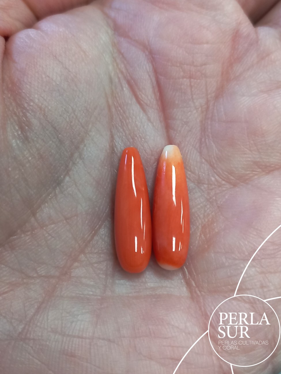 Par Perillas 6x20mm 1/2T coral japonés