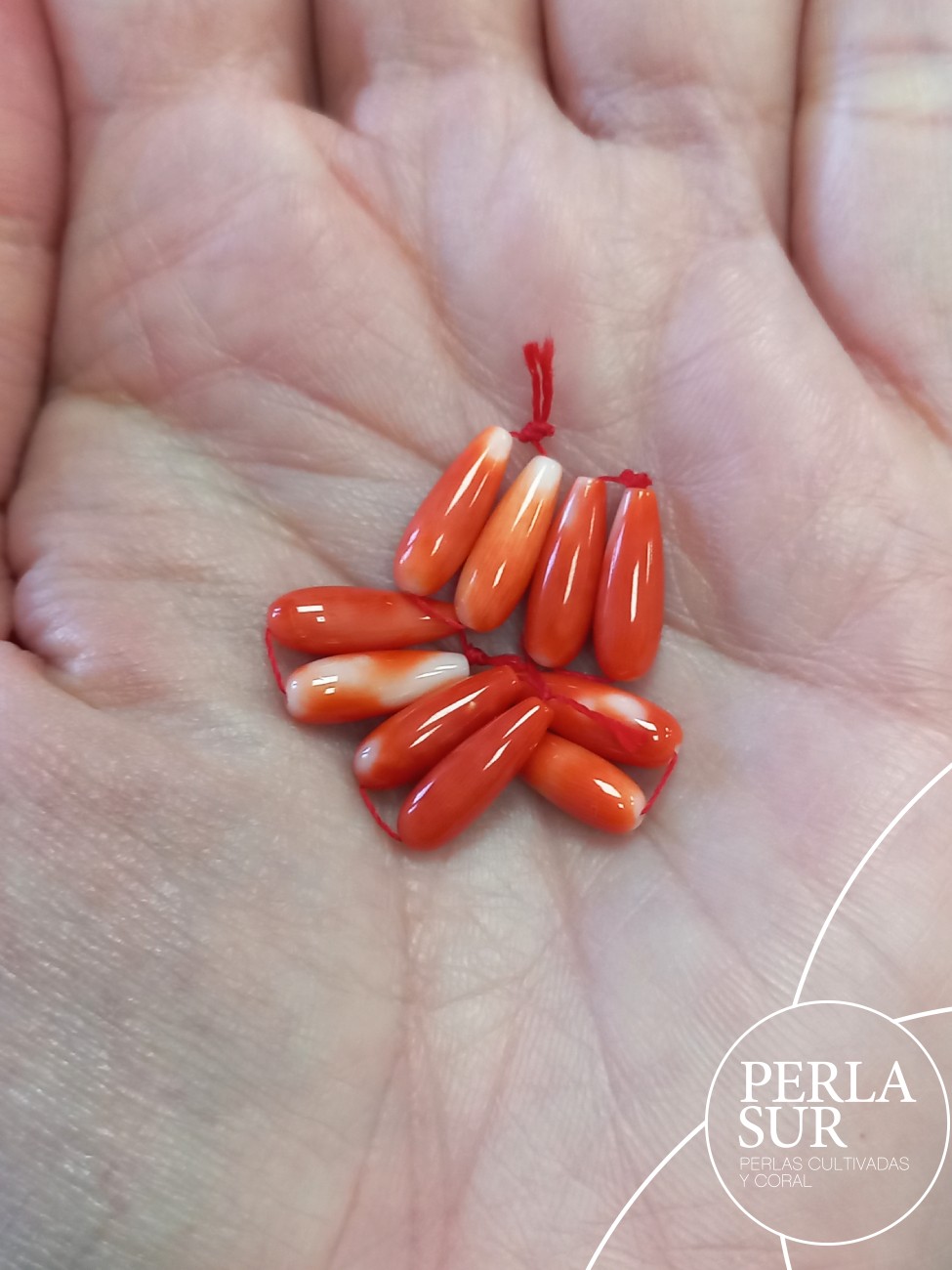 Par Perillas 4x12mm PASADAS coral japonés