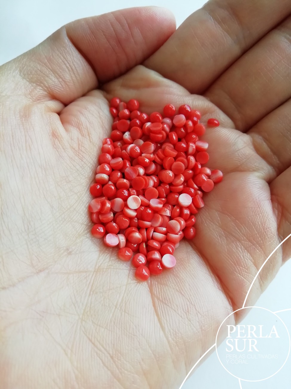 Cabujón 3mm Redondo Coral Japonés