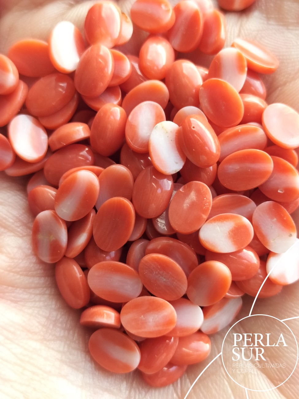 Cabujón 5x7mm Oval Coral Japonés