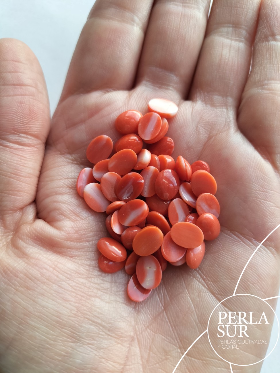 Cabujón 6x8mm Oval Coral Japonés