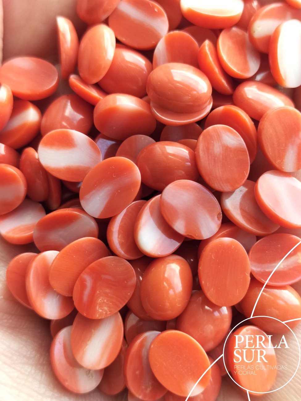Cabujón 7x9mm Oval Coral Japonés