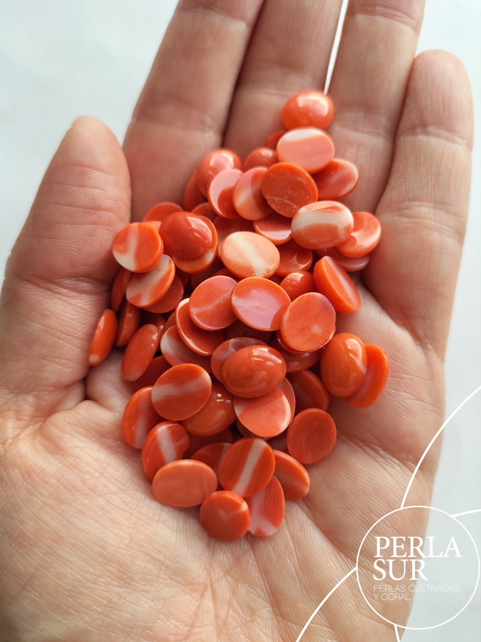 Cabujón 8x10mm Oval Coral Japonés