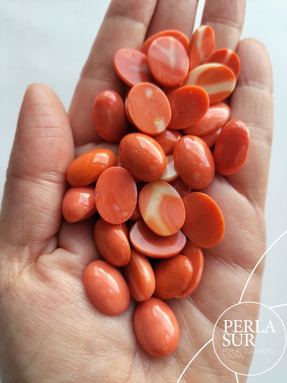 Cabujón 12x16mm Oval Coral Japonés