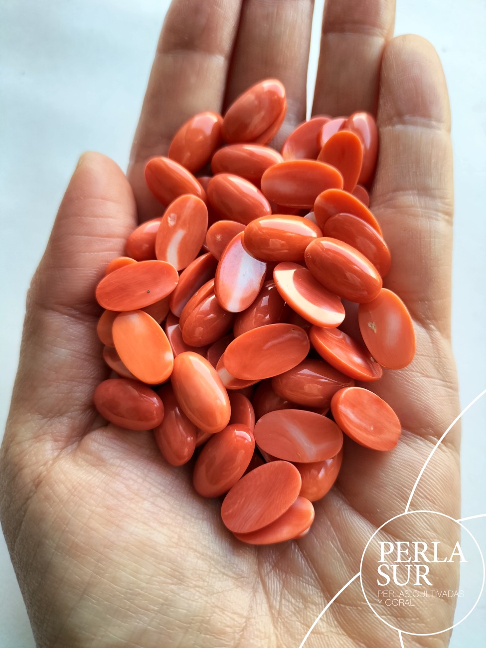 Cabujón 8x14mm Oval Coral Japonés