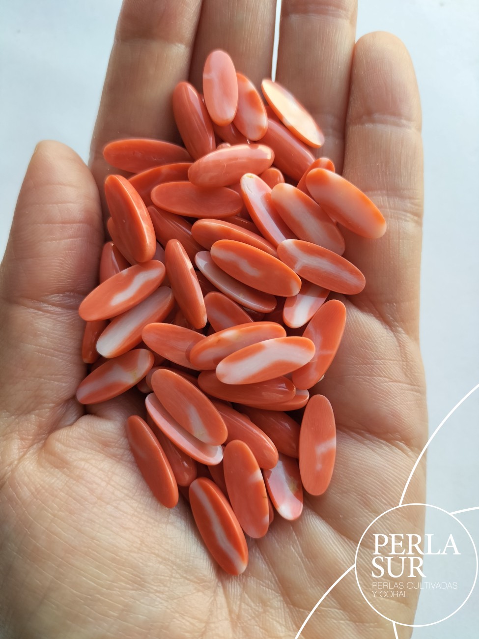 Cabujón 6X16mm Oval Coral Japonés