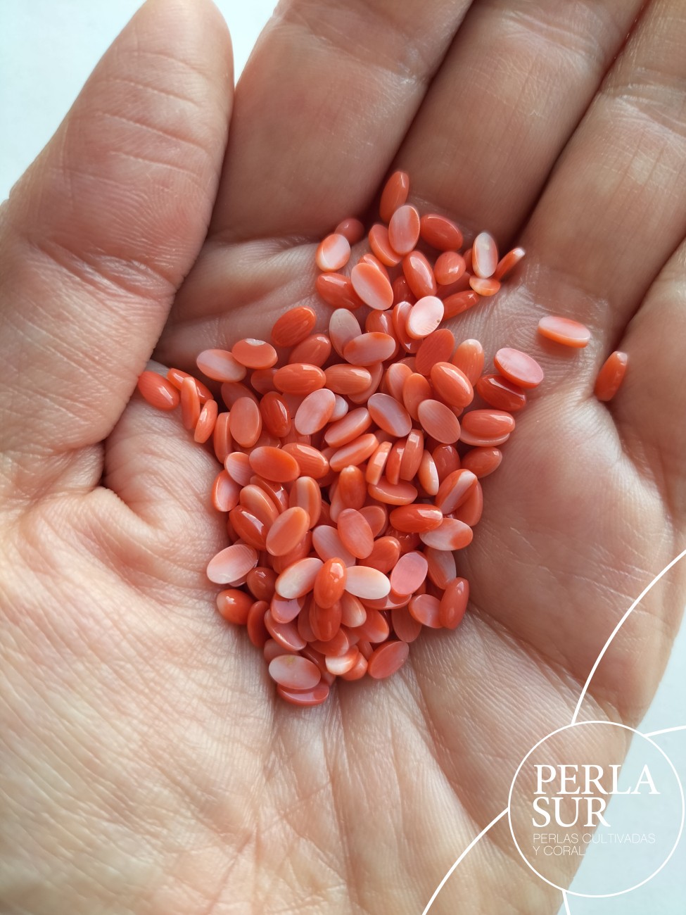 Cabujón 3x5mm Oval Coral Japonés