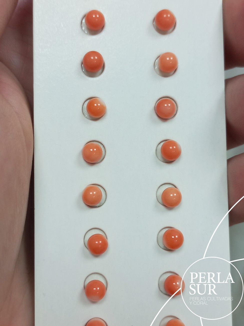 Bola 4-4'5mm ½T Coral Japonés