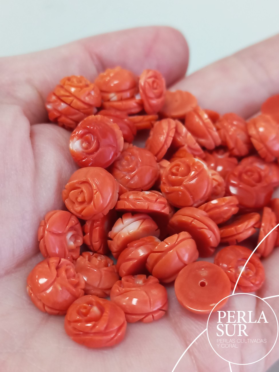 Pareja Rosa 10mm Plana Redonda Coral Japonés