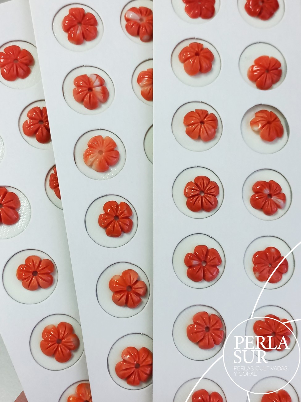 Pareja Flor 5 pétalos 10 a 12mm