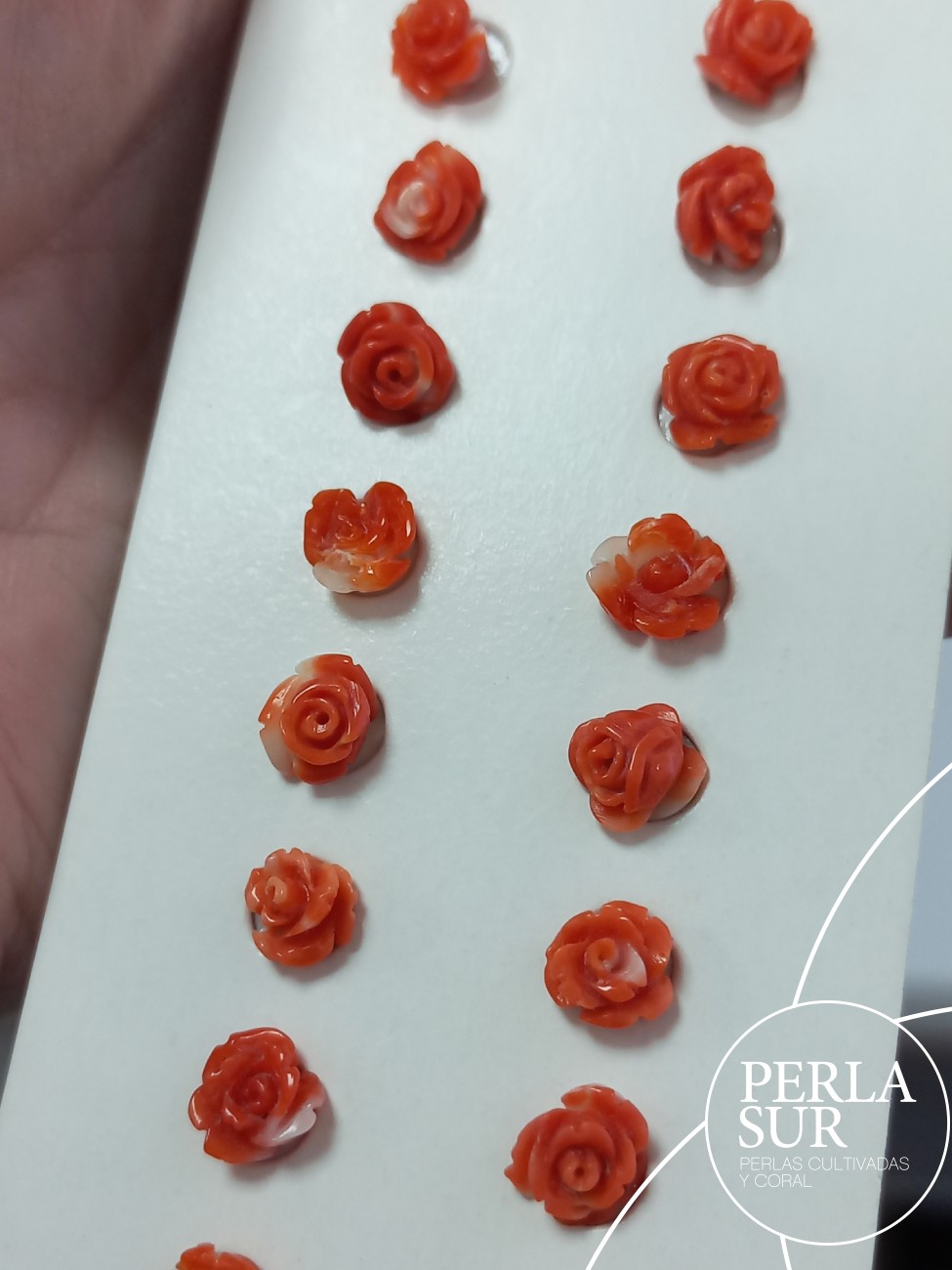 Pareja Rosa 6 a 7'5mm Coral Japonés