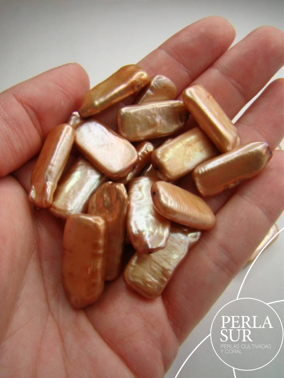 Lote Perla Coin PASADA 24x11mm Bronce