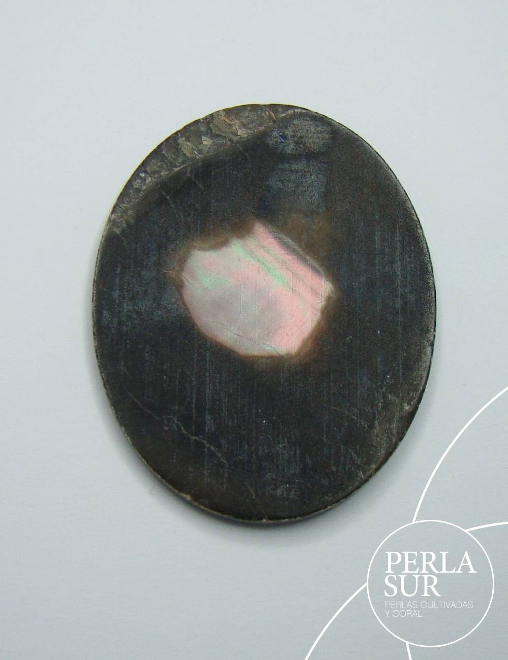 Victoria 27x35mm Camafeo Nácar Tahití