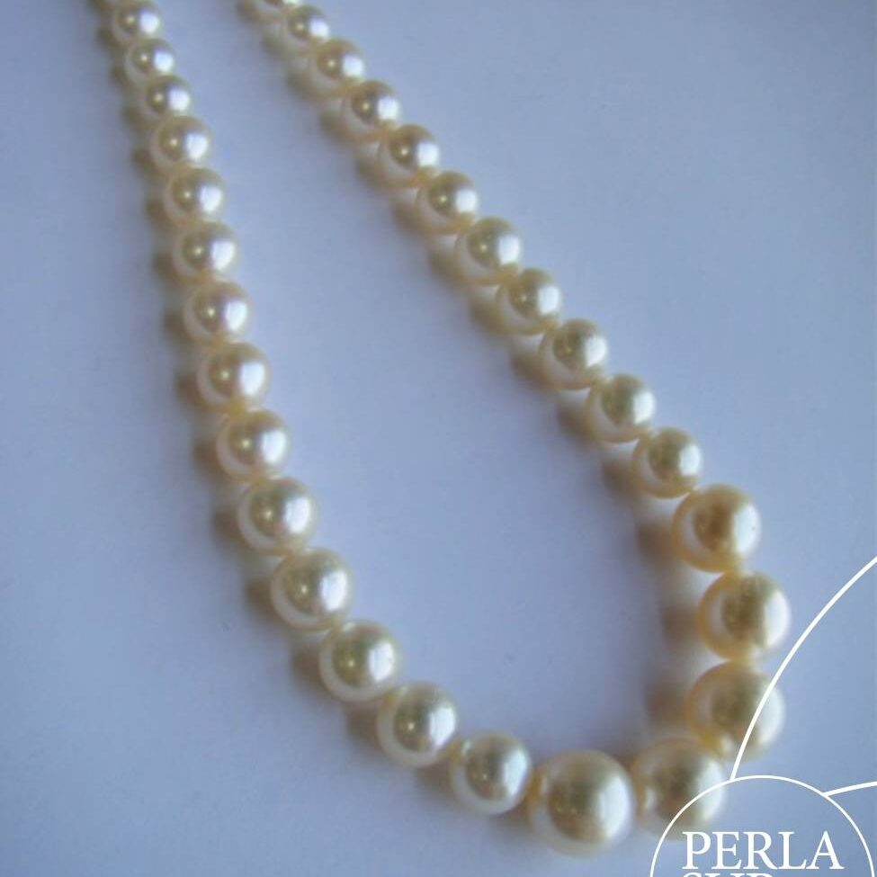 Hilo Disminución 6-10mm Perlas Akoya