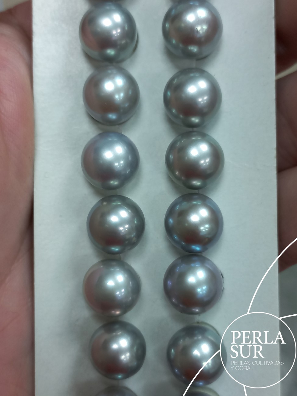 Pareja perla 1/2t 10-10'5mm gris